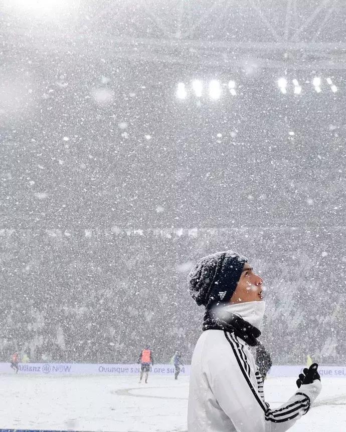 世界杯肉肉的仙人球,世界杯金肉肉