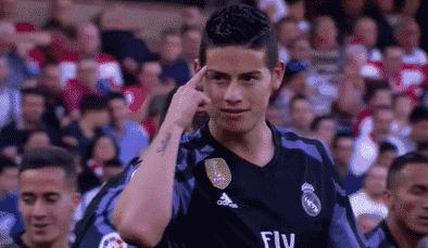 世界杯肉肉的仙人球,世界杯金肉肉