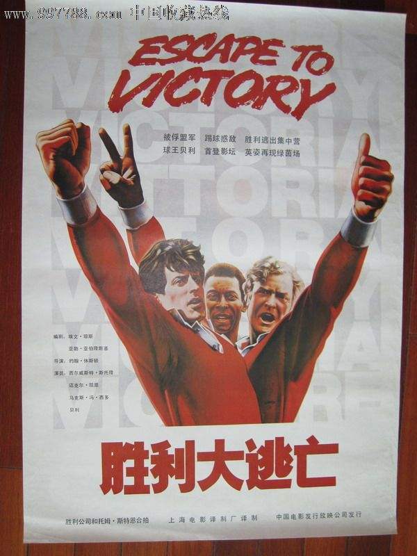 少林足球有哪些经典电影,十大必看足球电影排行榜