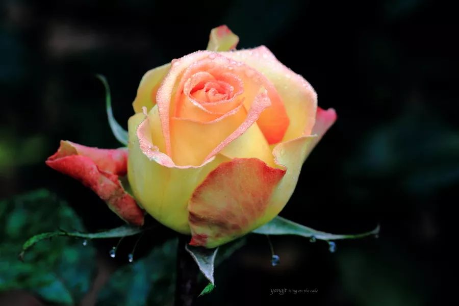 带上你的SuperHero，一起留下最温暖的回忆！