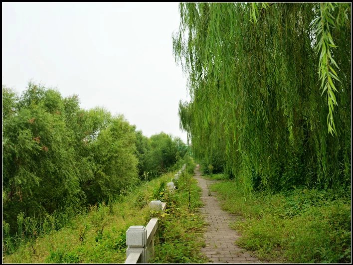 山东淄博六哥,六哥逛淄博