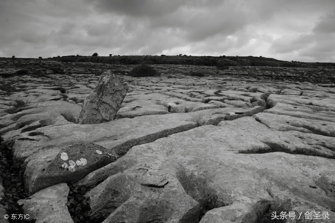 增广贤文人生在世多见多闻,增广贤文世事明如镜