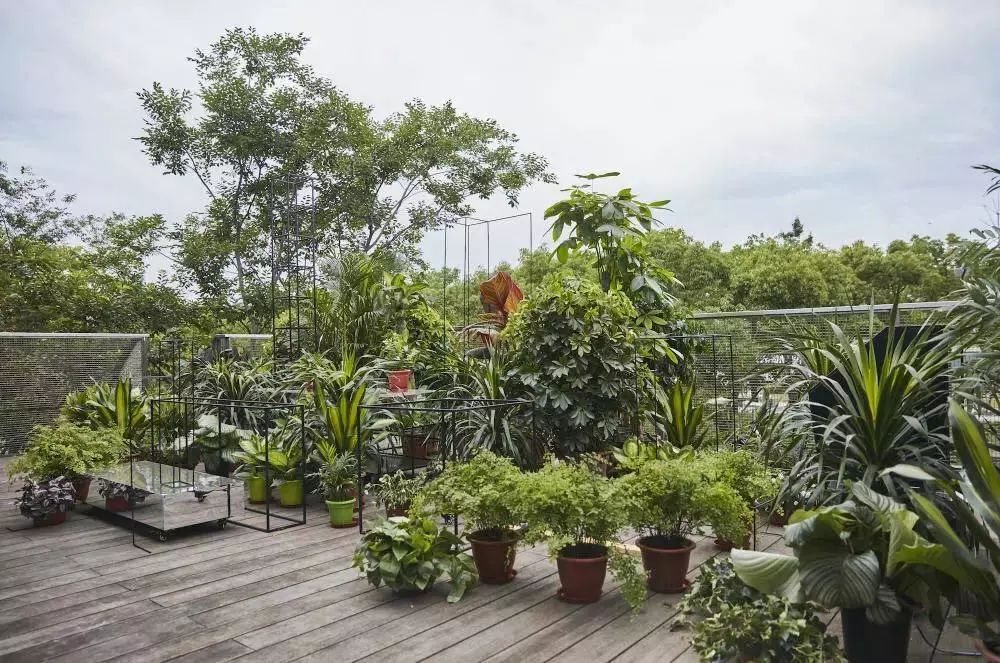 三五问：一场艺术家和写作者的相遇