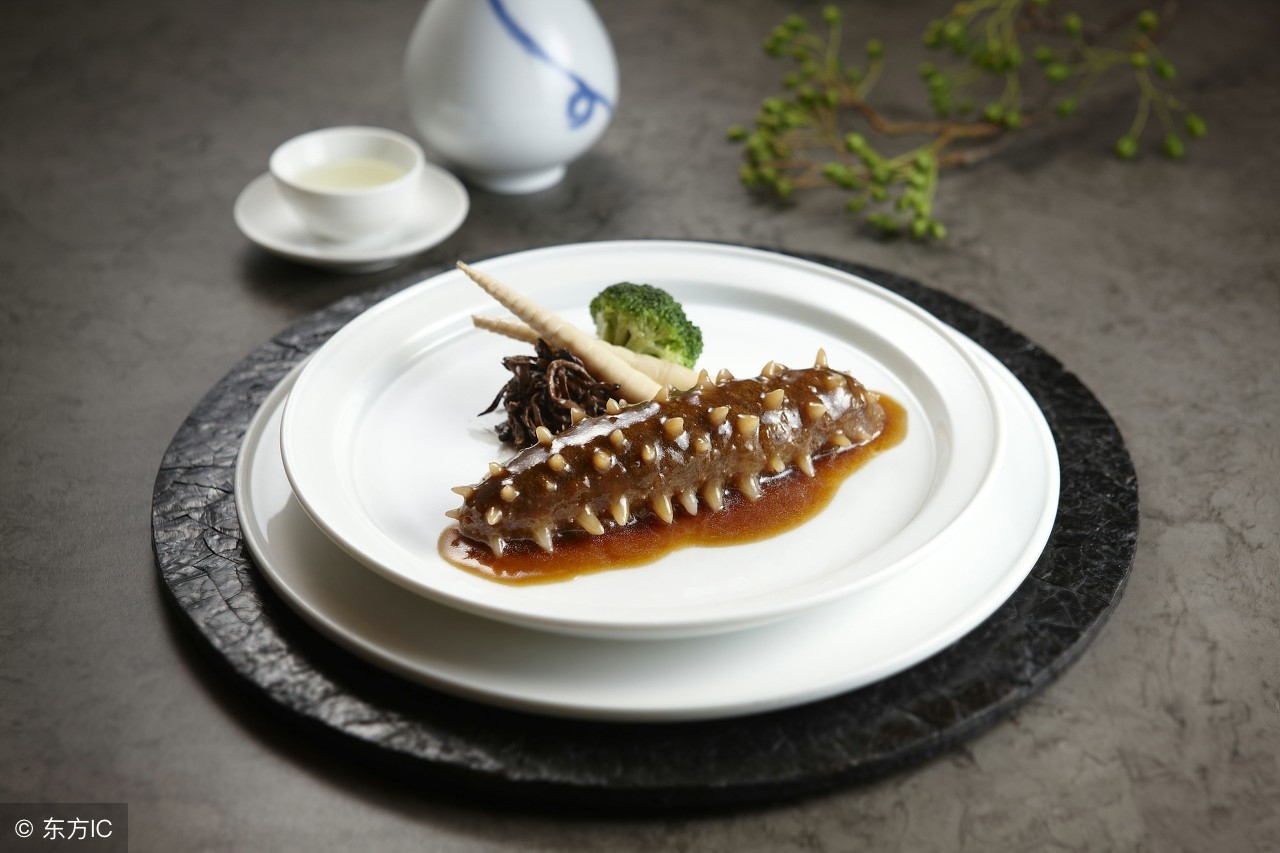 海参那些事儿海参产地,海参外行人不懂的海参知识