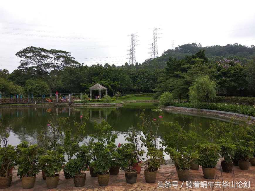 第一次去深圳感觉到了未来,深圳宝安公园一日游攻略
