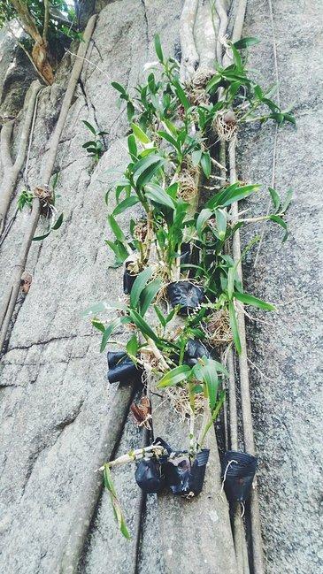 闺蜜游三亚自由行,与闺蜜的三亚之旅