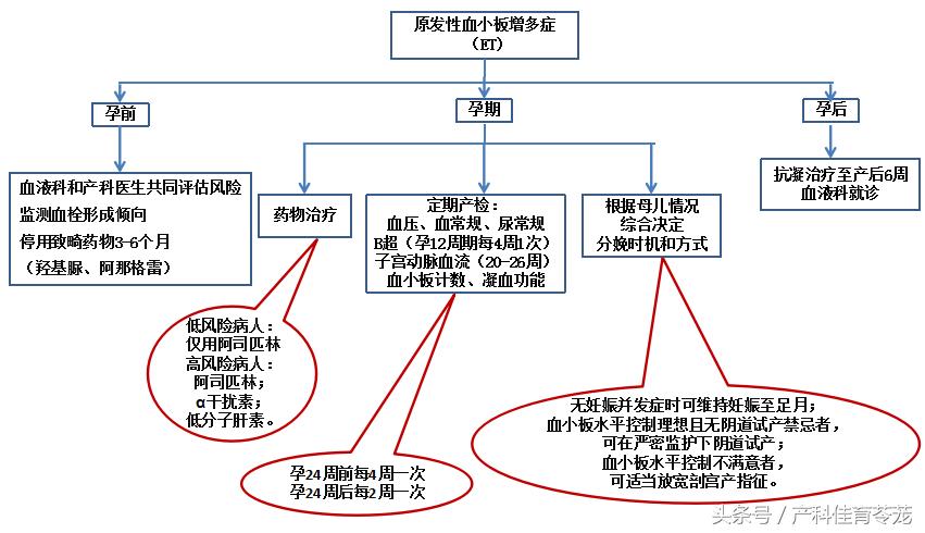 体检血小板计数偏高有什么危险,孕检血小板高的原因及后果