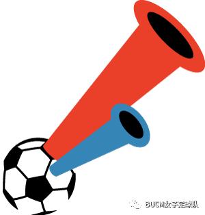 铿锵玫瑰归来小说,女足铿锵玫瑰回家