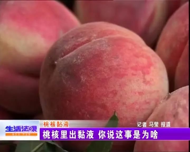 真相：桃子里面吃出黏液是“桃胶”还是另有他因？