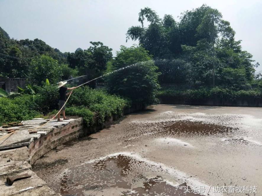 快速解决你养殖场的环保问题,低成本养殖场粪便处理