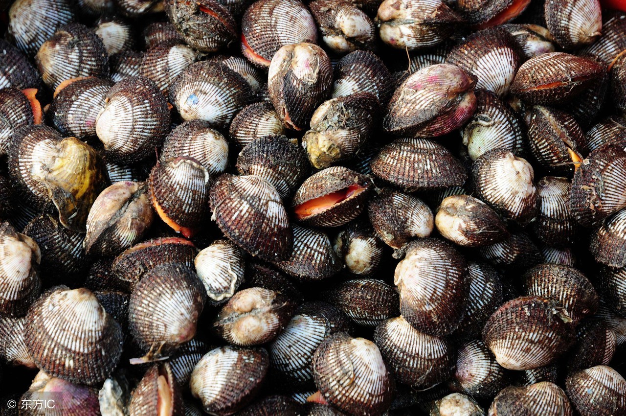 甲肝和乙肝怎么引起的,甲肝是怎么回事