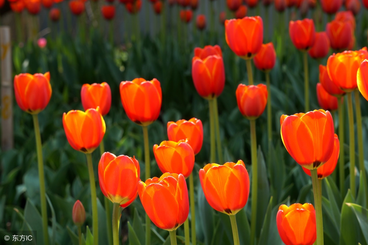 如果你有什么烦恼就去医院看看,成年后最好的疗愈方法