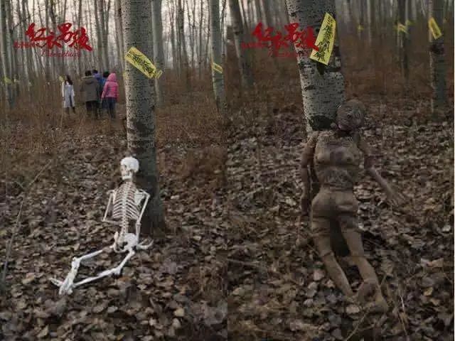 神奇女侠死侍黑亚当联合主演新片,杰森斯坦森与神奇女侠新片