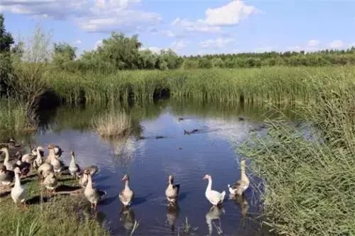 星空露营夜景,北京适合露营看星空的地方
