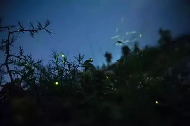 星空露营夜景,北京适合露营看星空的地方