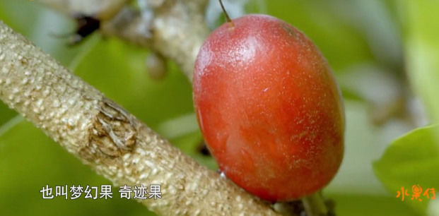 中国顶级美食纪录片,中国顶尖美食纪录片