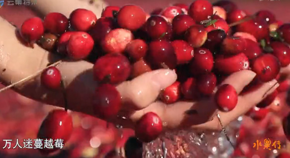 豆瓣8.9高分,豆瓣8.9评分经典