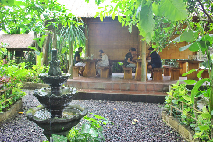 巴厘岛怎么玩省钱又舒服,巴厘岛攻略自由行详细