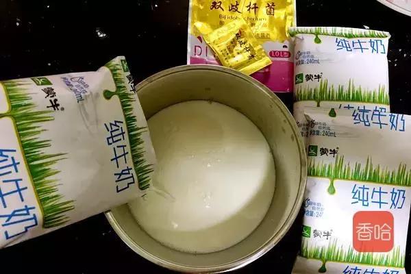 怎样用电饭煲制作酸奶教程,电饭煲自制酸奶的家常做法