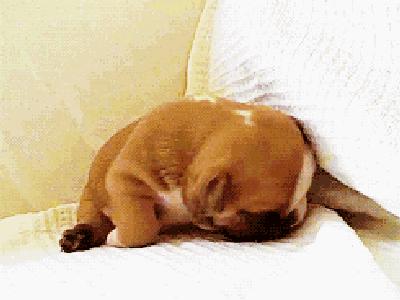 一款让颈椎爱上睡眠的按摩枕,最好用的旅行颈椎枕头