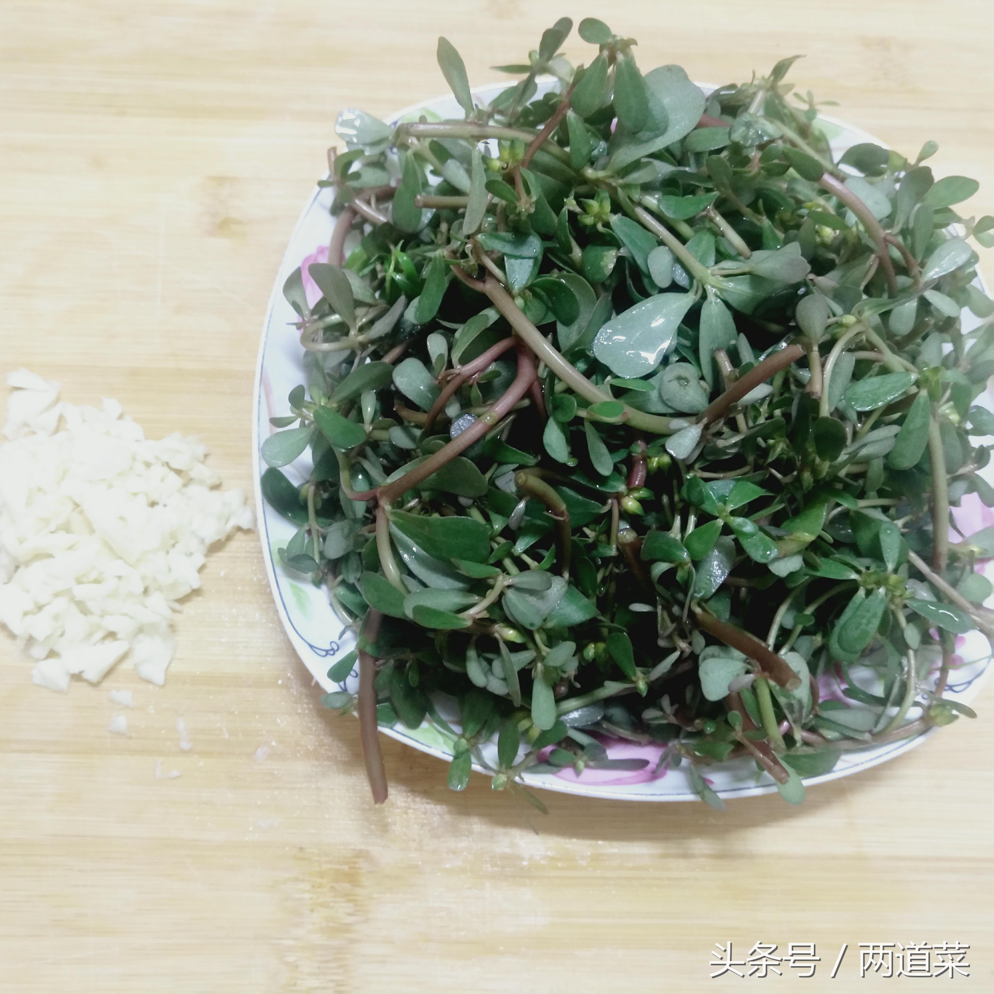 干马齿菜的家常做法大全集,马齿菜怎么做好吃又简单