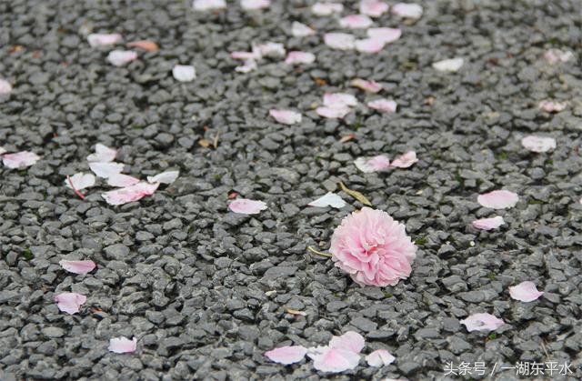 传承语言文化,语言智慧和文化的传承