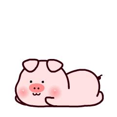 泉州一级达标中学名单,2023年泉州一级达标高中名单