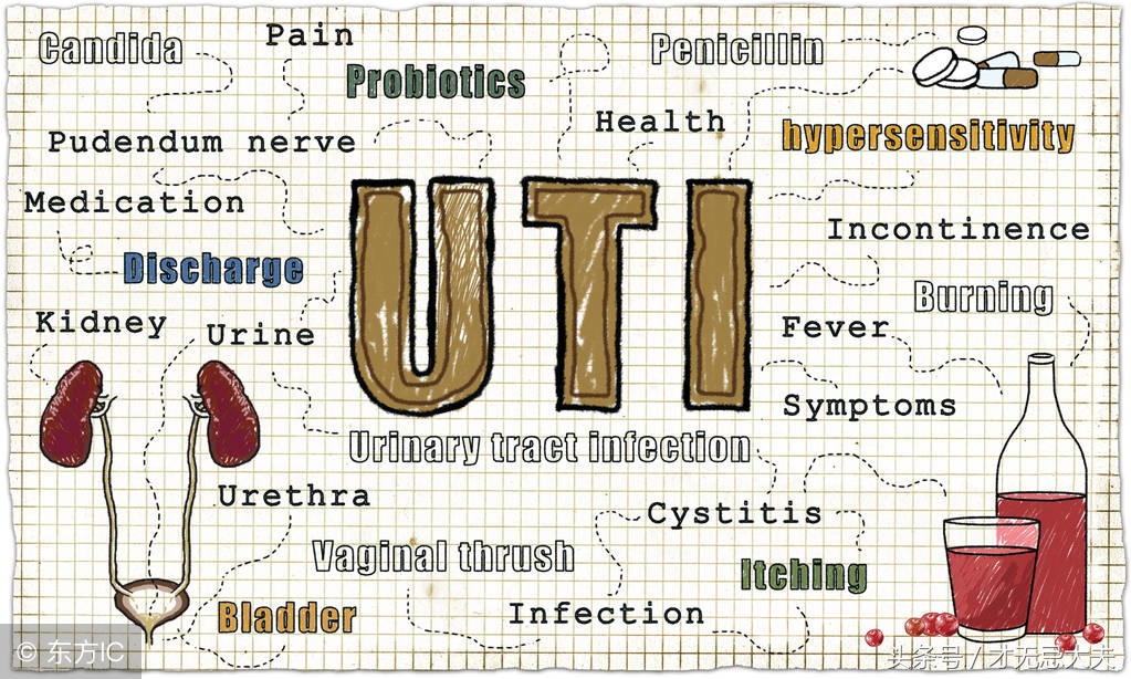 夏天是尿路感染的高发季，如何预防和治疗呢？