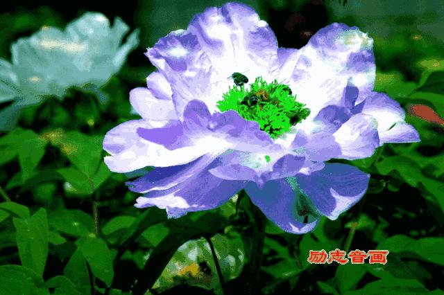 今天6月20日，八句话，送给亲爱的朋友们，写的太好了！