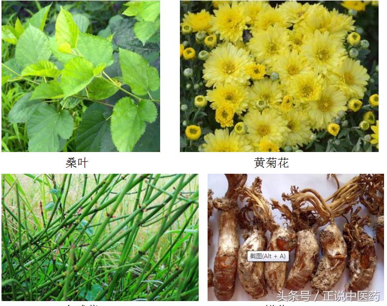 经常熬夜伤肝脾肾吃中药怎么调理,熬夜饮食不规律中药调理