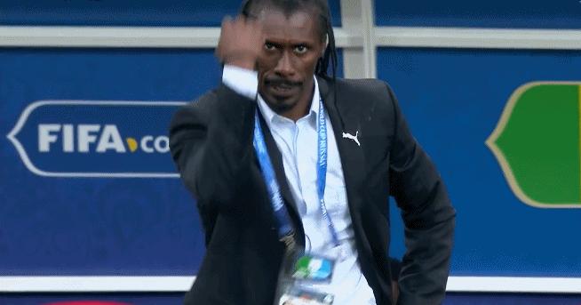 今日趣图完整版,今日趣图合集