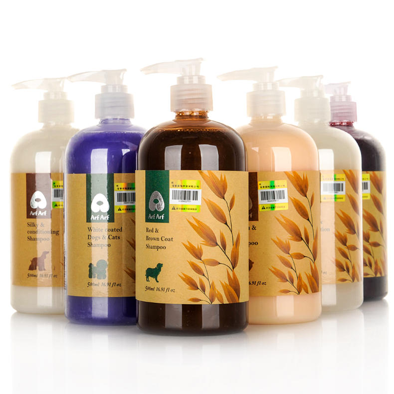 大家都爱养比熊,护理起来却有难度