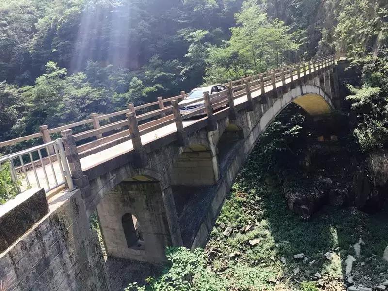 普通的disco我们普通的摇原唱,普通的disco我们普通的摇歌词