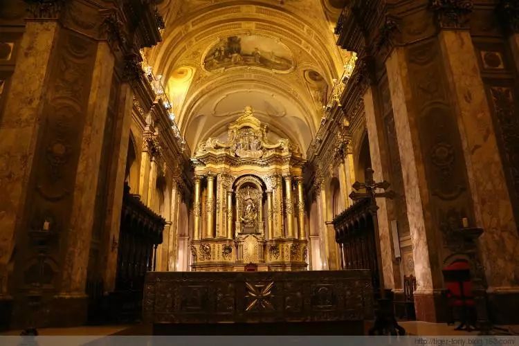 世界杯决赛潘帕斯雄鹰高卢,世界杯潘帕斯进球