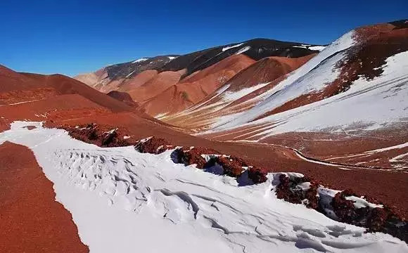 世界杯决赛潘帕斯雄鹰高卢,格子军团vs潘帕斯雄鹰复仇之刃