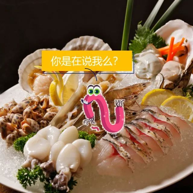 不容错过的精彩时刻,不容错过的精彩