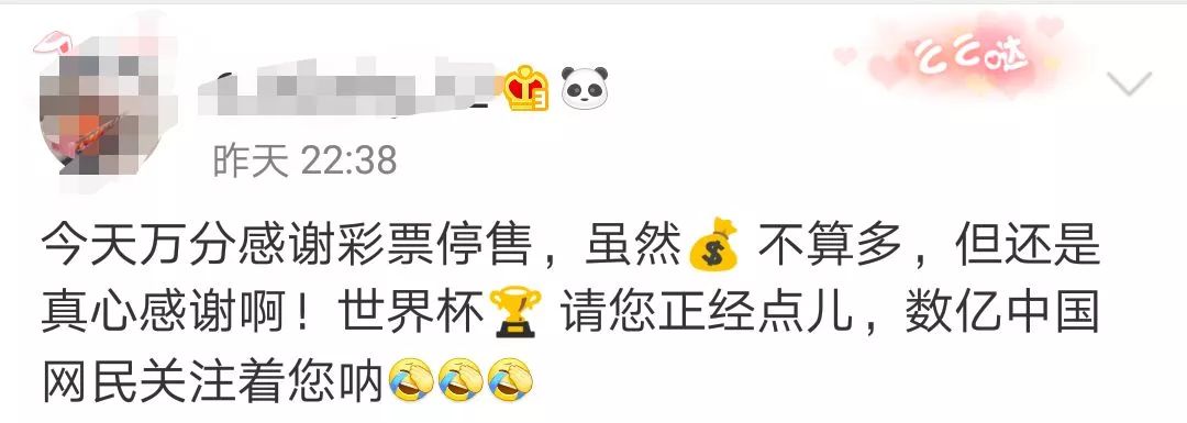 世界杯竞猜为什么停售了,世界杯足球竞猜停售