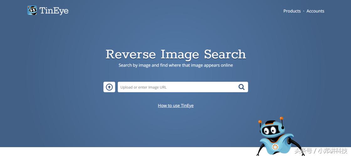 有什么网站查东西是免费的,哪些网站可以查自己想要的东西