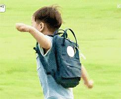 拱北海关缉毒犬,缉毒犬拱北海关