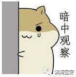 新安调查,新安县暗访组