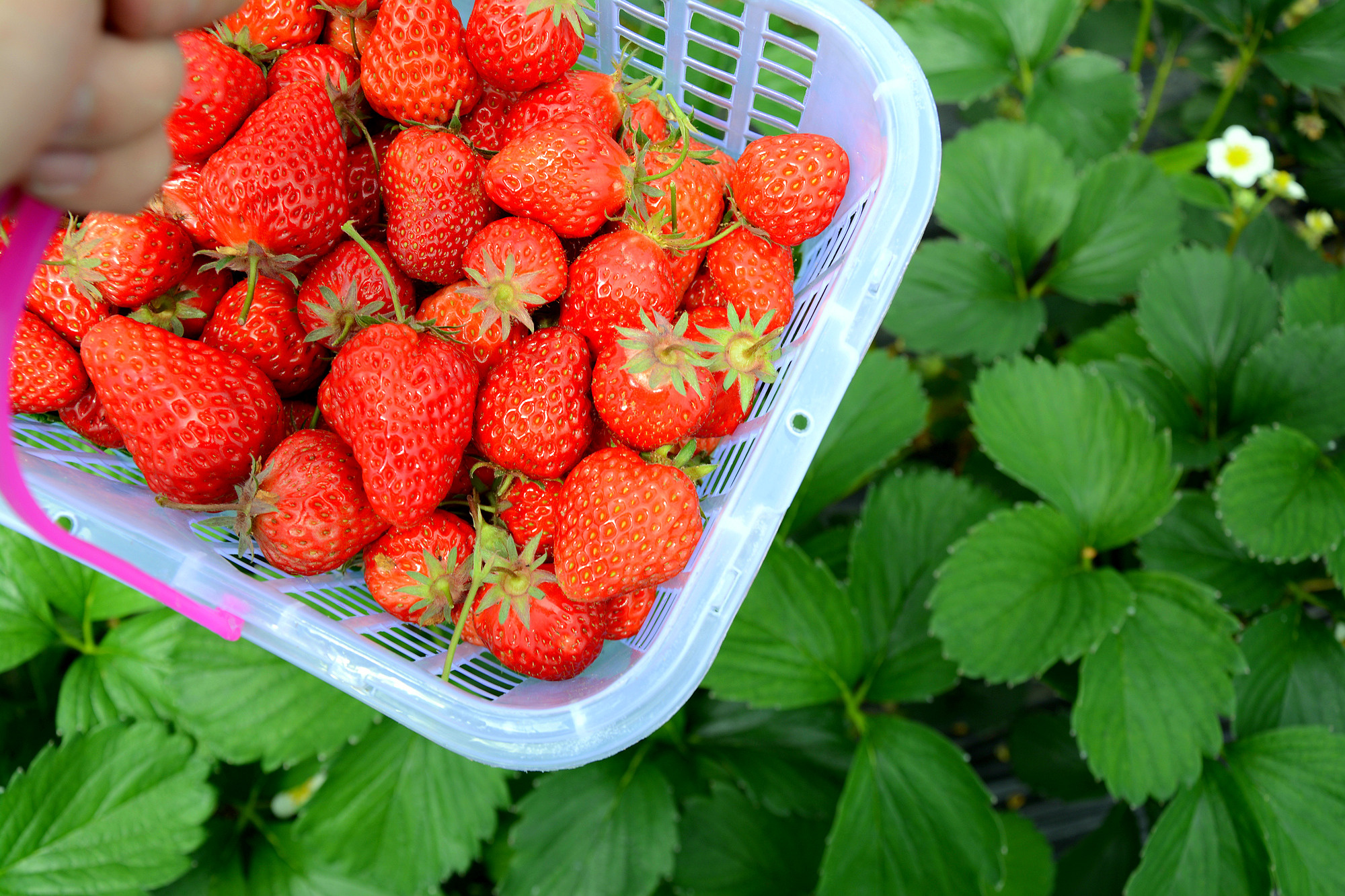 苏州哪些景点可以看小桥流水,只有老苏州人才知道的小众景点