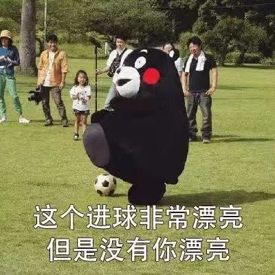 c罗世界杯语录,世界杯最土味的话