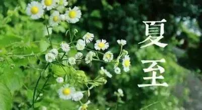 今日夏至愿所有的美好如夏而至,今日夏至留住一年中最诗意的时光