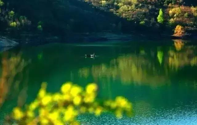 今日夏至愿所有的美好如夏而至,今日夏至留住一年中最诗意的时光