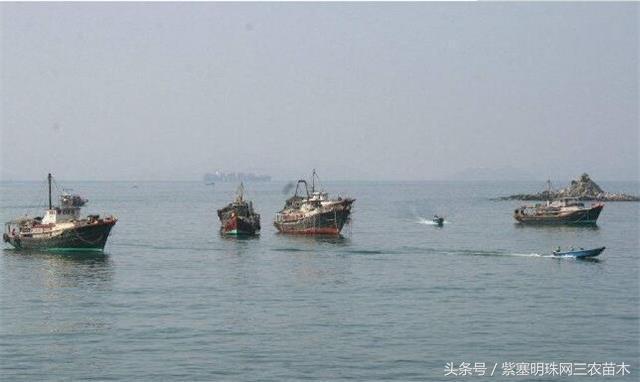 南戴河*哥涛**农家院（成杰宾馆）云烟天外黄金缕，渔火滩头绿酒家！