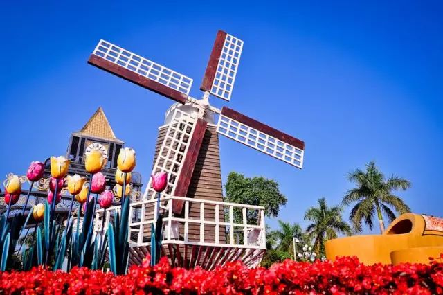 深圳吃喝玩乐攻略,2019深圳吃喝玩乐全攻略