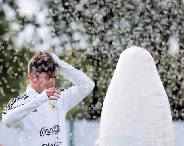 行走荷尔蒙球星,行走的荷尔蒙球星集合