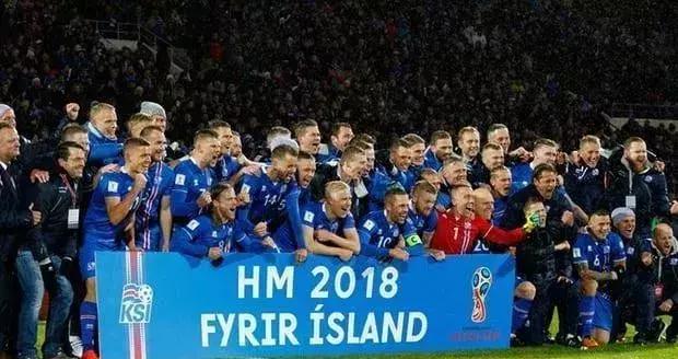 冰岛队的守门员,冰岛守门员