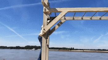 狗gif爆笑动图,搞笑gif图别忘了你是一只狗啊