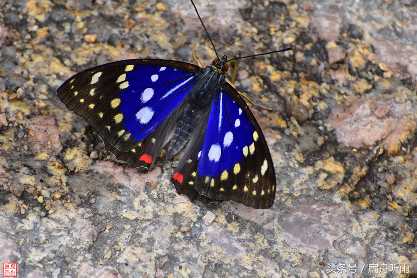洛阳神灵寨住宿,洛阳神灵寨旅游预约时间